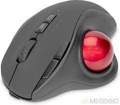 Want Item Image