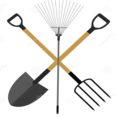 Have Item Image